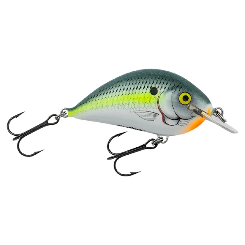 Sexy Shad