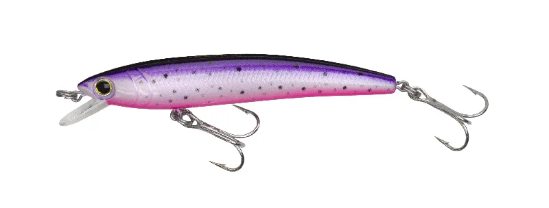 Purple Rainbow Trout