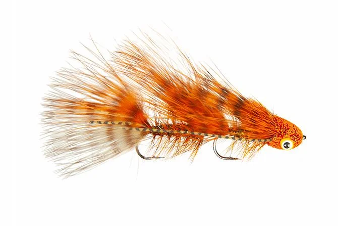 Barred Craw Orange