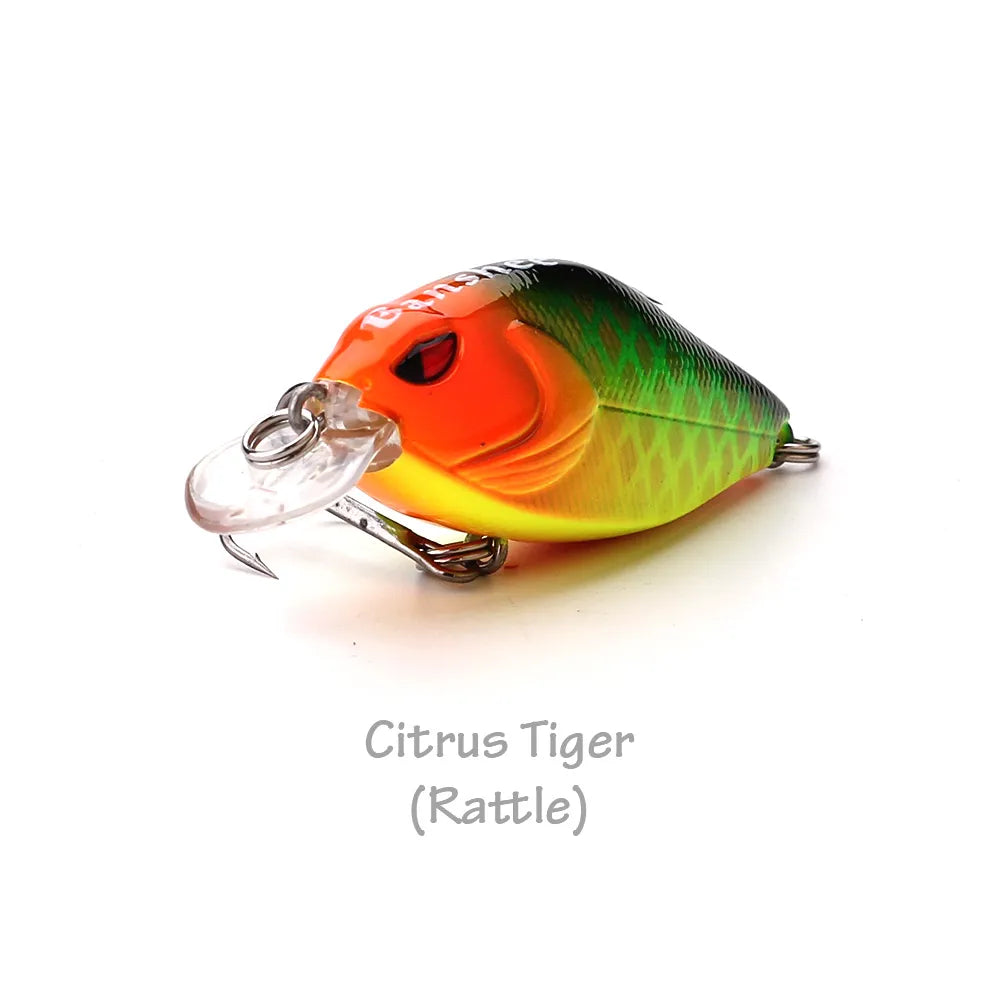 Citrus Tiger 34