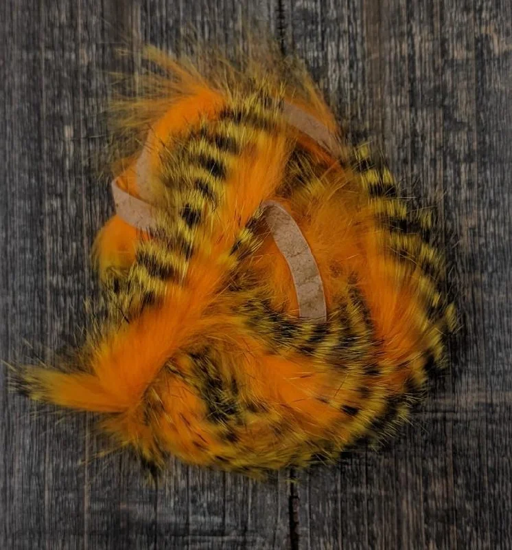 Black Barred Yellow Tipped Hot Orange