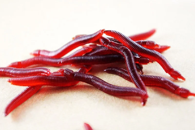 Fishing bait chilling clamp-Soft Lure Red Worms 100pcs