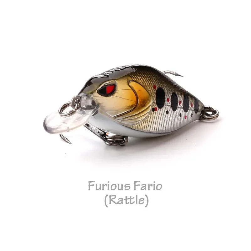 Furious Fario 03