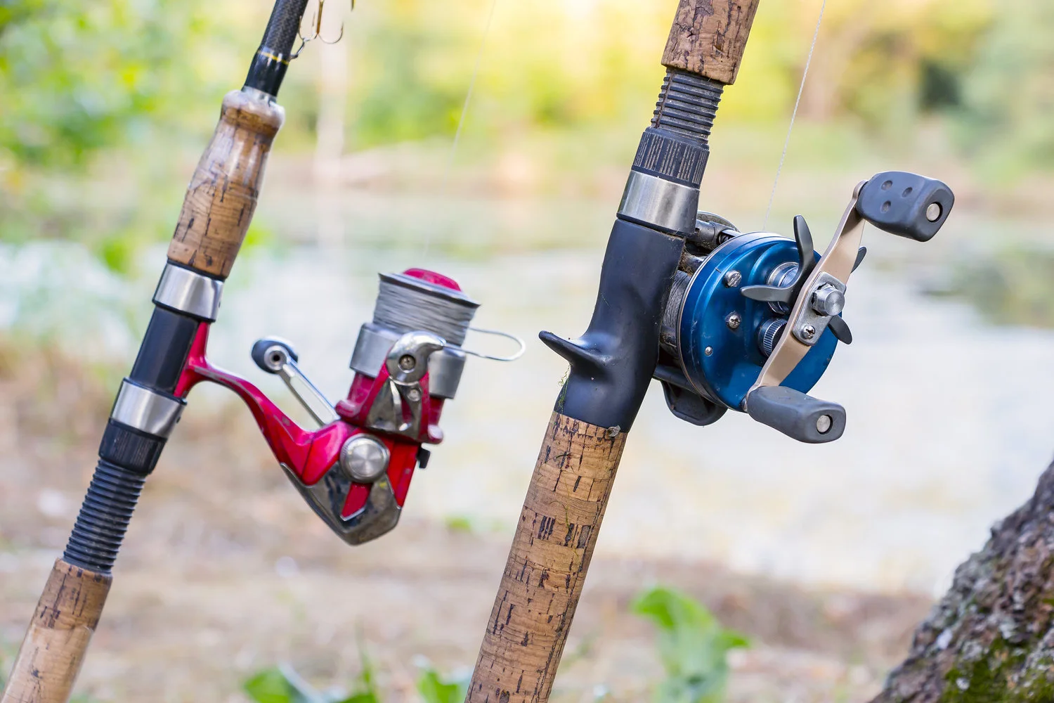 Fishing Reels